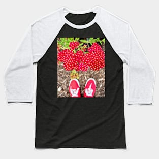 Ruby Red Yarrow Achillea Baseball T-Shirt